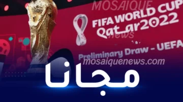 تردد قناة بي إن سبورت 1 المفتوحة على نايل سات وعرب سات لمتابعة كأس العرب 2025 مجانًا